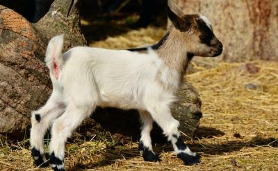 ��ͻȻ�뵽�����ˣ�ӛ�Üʂ䂀�����N������...