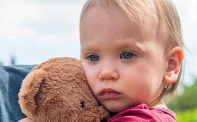 階段性的投放(孩子充分閱讀了圖書之后,再...