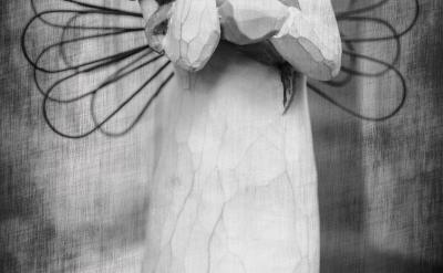 4�����x���}�������W��Ҫ�����Ӣ�Z�ɿ���...