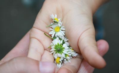 2����ʽ����(d��ng)�����ģ�Mԇ��