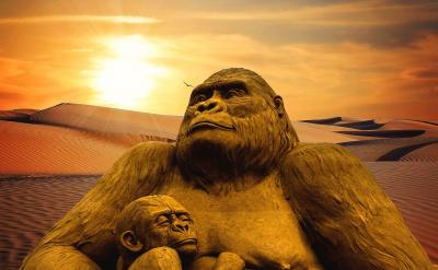 ������ô����ĸ�������ʲô��?