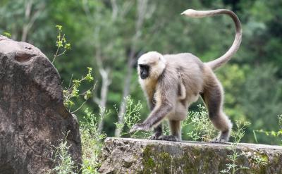 45、高中其實和初中區別很大的,因為即使在...