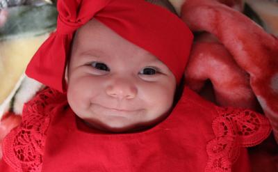 �n�ý̌W����Ч��ֱ��Ӱ푽̌WЧ�����̌W�u...