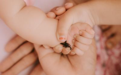 2���W�������W���dȤ�Ƿ�����