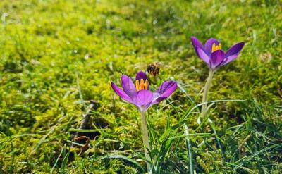 5.���x�D���~����ģ��Ą�Lԇ������µľ�...