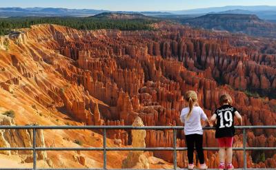 ③能較好地理解文章的語句。