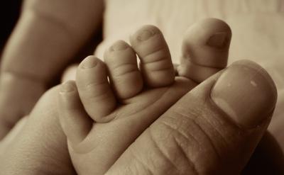 study plan����?j��n)?sh��)�o(w��)�̫����һ�㲻��Ҫ���^(gu��)...