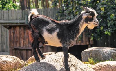 2�����c���҂�ǰ�M��·�ϵĔr·�����҂�Ҫ...