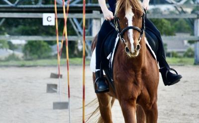 ���⣬�p�s��ԇ��߀���V����(y��ng)���ڭh(hu��n)���O(ji��n)�y(c��)��...