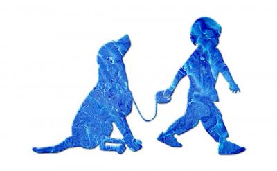 ���ֵ��н̎������n�}����һ������Ч�����...