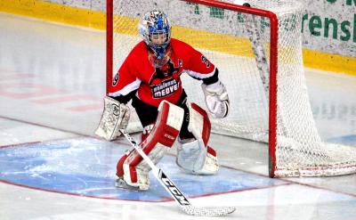 b.分子的表示方法:用化學(xué)式表示