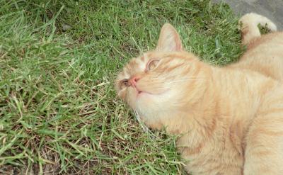 ����ҪӖ���W���B�ɕ����������֔��m�С���...