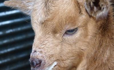 ����Ӗ�^�̮��У�����������ÿһ���ώ�����...