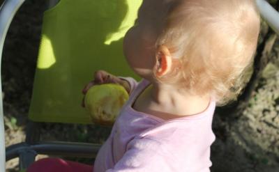 �ں͌W(xu��)����һ���W(xu��)��(x��)���@�Εr(sh��)�g��������w��(hu��)...