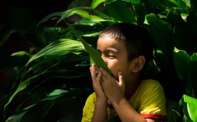 積累時要善于做知識總結。對于一些比較零散...