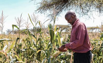 69. 斜紋絨布:twilled fustian,flannel t...