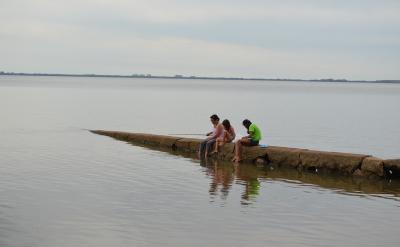 7、繼續練習用較快的速度閱讀課文,把握課...