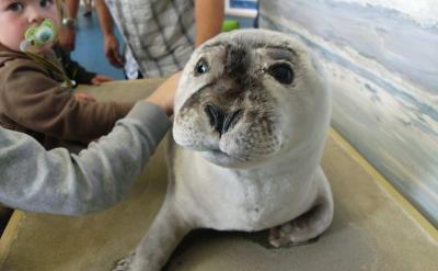 �S����B12��Ҫ�����ڄ�����ʳ���У������...